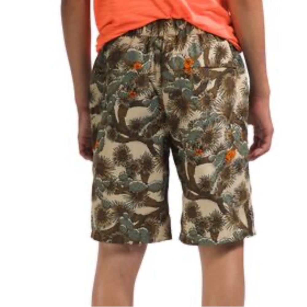 The North Face Boy’s Cargo Shorts - Brown and Green